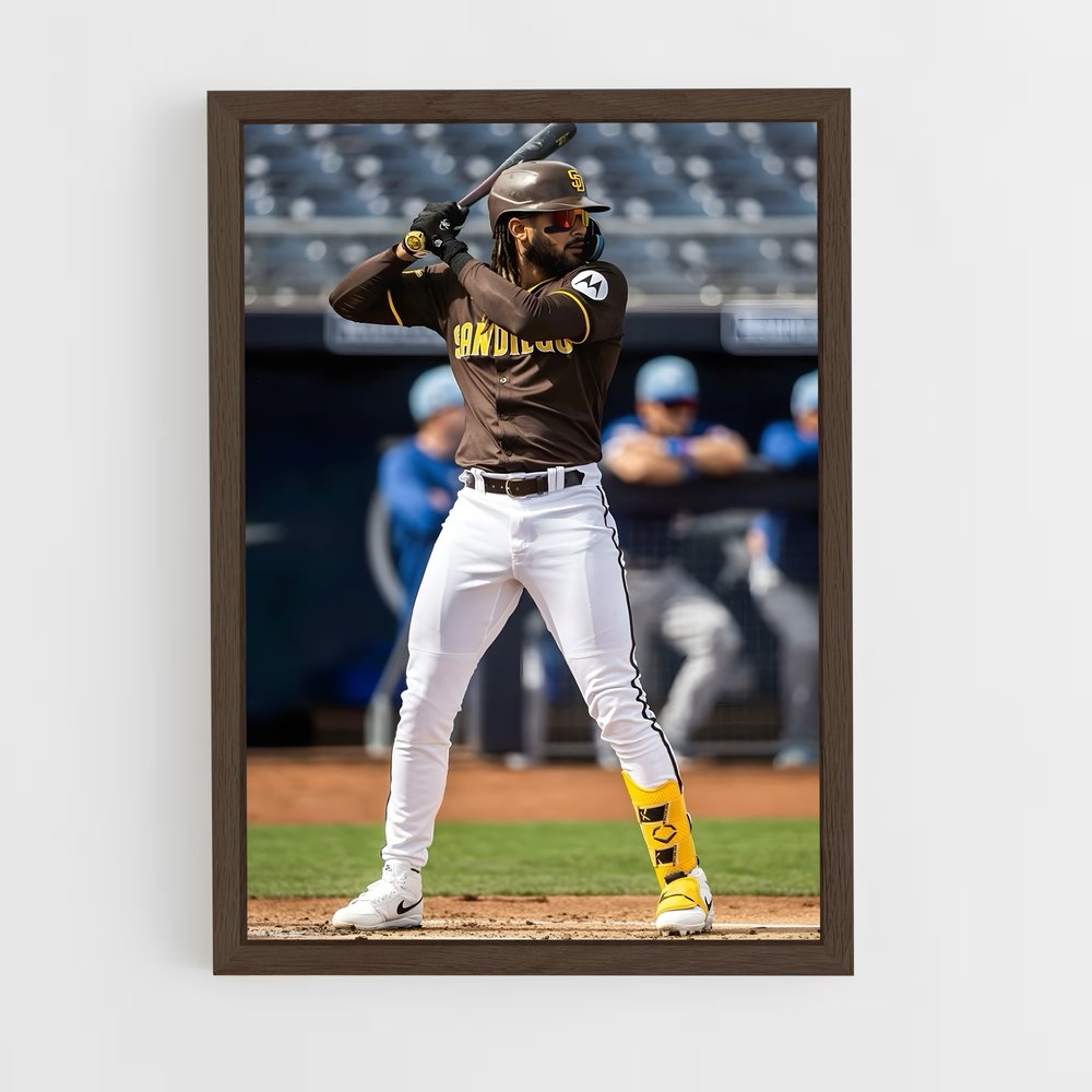 Poster Fernando de tatis – affiche Baseball (vue 5)
